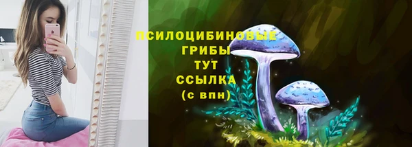 Альфа ПВП Аркадак