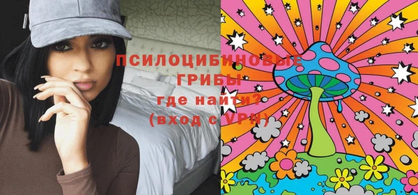 PSILOCYBIN Медногорск