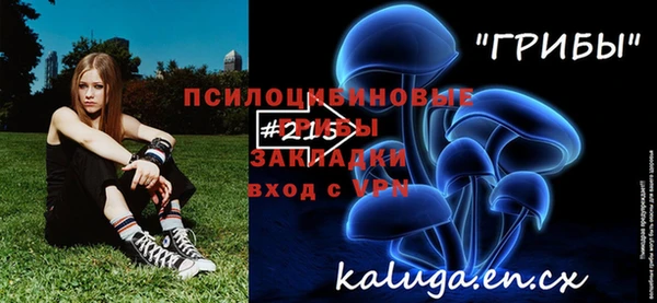 молекула духа Армянск