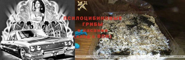 Альфа ПВП Аркадак