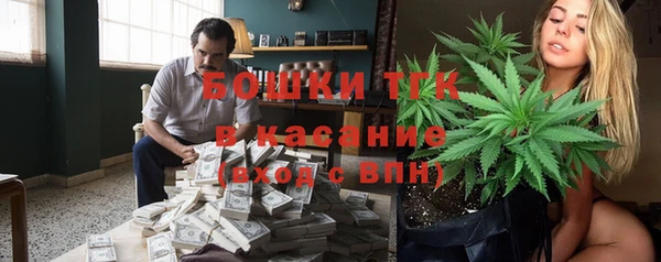 тгк Михайлов