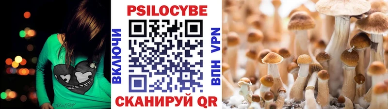 Галлюциногенные грибы Psilocybe  Агрыз 